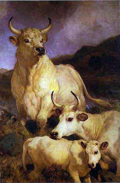 Sir edwin henry landseer,R.A. The wild cattle of Chillingham, 1867 china oil painting image